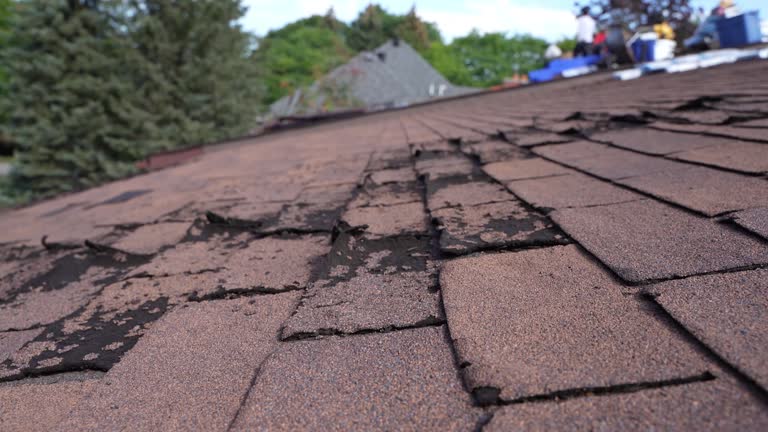 Best Roof Coating and Sealing  in Hollister, CA