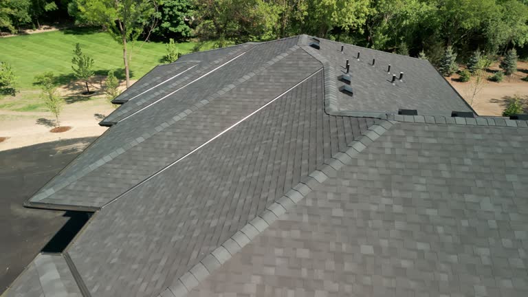 Best Roof Ventilation Installation  in Hollister, CA