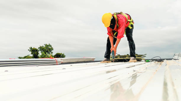 Best Wood Shake Roofing  in Hollister, CA